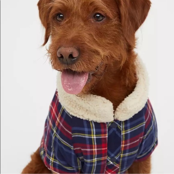 aerie Dog Nwt Offleash By Aerie Flannel Dog Pajamas Poshmark